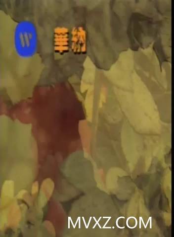 林忆莲-蔷薇之恋(人物)_国语_流行歌曲_MA304767